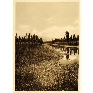  1925 Canal Xochimilco Mexico Hugo Brehme Photogravure 