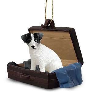 Black/White Jack Russell Terrier Rough Traveling Companion Dog 