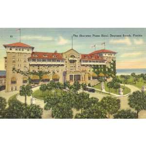   Vintage Postcard The Sheraton Plaza Hotel   Daytona Beach Florida