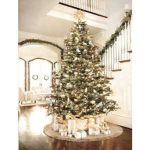  Noble Fir Christmas Tree  Ballard Designs