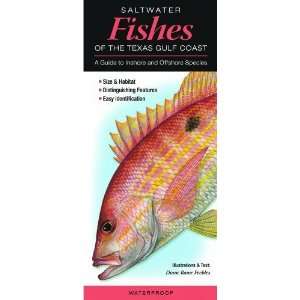  Saltwater Fishes of the Texas Gulf Coast A Guide to 