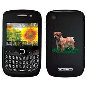  Norfolk Terrier on PureGear Case for BlackBerry Curve  