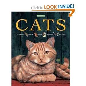  Cats Amanda ONeill Books