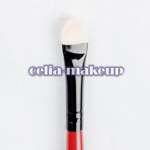 22 Piece Red Make up Mineral Brush set [BS10]  
