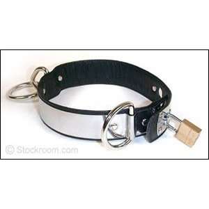  Deluxe Stainless Steel/Leather Collar, Small Health 