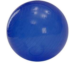 65 cm Balancing Stability Ball for Yoga+. EZ 55 65 75 cm Ball Buy It 