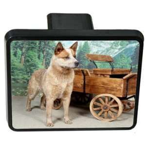  Australian Cattle Dog Trailer Hitch Cover Sports 