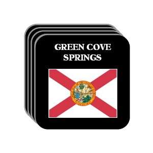  US State Flag   GREEN COVE SPRINGS, Florida (FL) Set of 4 