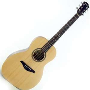  Hohner Parlor Size Acoustic Guitar EL SP Plus Musical 