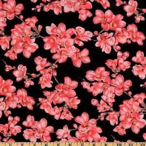   Wide Timeless Treasures Fleur Cheery Blossom Black Fabric By The Yard