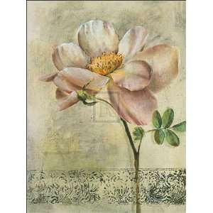  Floral Blush Iv   Poster by Dennis Carney (16 x 20)