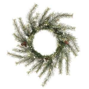   G872124 24 in. Tannenbaum Pine with Snow Wreath