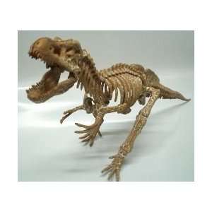   long Tyrannosaurus T Rex Dinosaur Skeleton Fossil Model Toys & Games