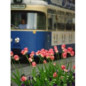 Selective Focus of Colorful Flowers on Busy City Street with Blurred 
