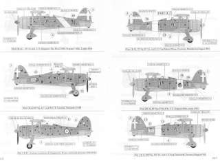 Sky Models Decals 1/48 FIAT CR 42 Fighter Part 1  