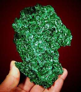 Exceptional XL6 Emerald Green SILKY MALACHITE Crystals  