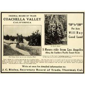  1913 Ad Coachella Valley California Riverside County 
