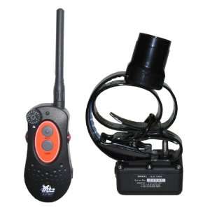  D.T. Systems H2O 1 Mile Remote Trainer with Beeper