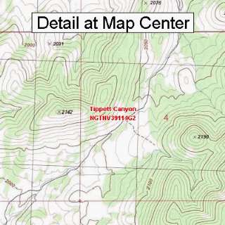  USGS Topographic Quadrangle Map   Tippett Canyon, Nevada 