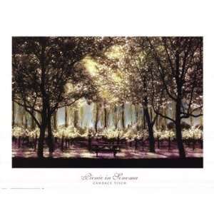   Picnic In Sonoma   Poster by Candace Tisch (31.5 x 24)