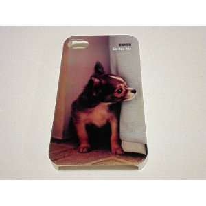  Chihuahua Apple iPhone 4 Hard Sided iKnow Dogs Skin Case 