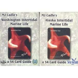  Alaska Intertidal Marine Life Cards Toys & Games