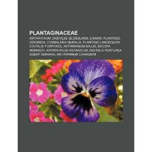  Antirrhinum, Digitalis, Globularia, Linaria, Plantago, Veronica 