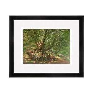  Robin Hood And His Merry Men In Sherwood Forest Framed 