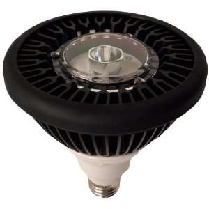  ToughLED PAR38   11 Watts   Waterproof LED Bulb