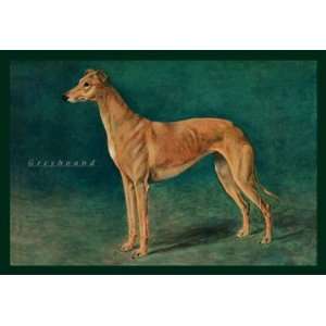 Coursing Greyhound 12X18 Canvas 
