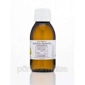  Seroyal Sequoia gigantea 125ml