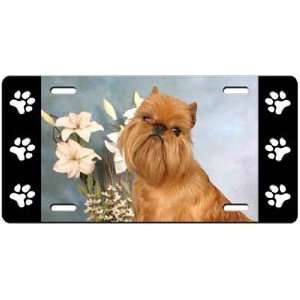  Brussels Griffon License Plate