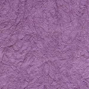  Crinkled Rice Paper  Purple 23x35 Arts, Crafts & Sewing