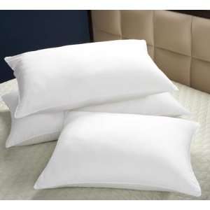  Luxury Sateen Synthetic Pillow