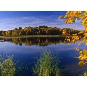 Minnesota, Lake Winnibigoshish, Chippewa National Forest, Northern 