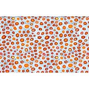  Kaffe Fasset Quilting Fabric   Contrast Arts, Crafts 