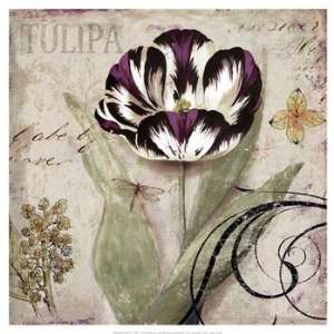  Tulipa II Poster by Aimee Wilson (19.00 x 19.00)