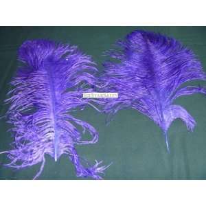 Ostrich~5 Mini Wing Ostrich Plumes PURPLE Ostrich Feather 10 13 Long 