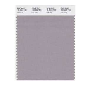  PANTONE SMART 16 3803X Color Swatch Card, Gull Gray