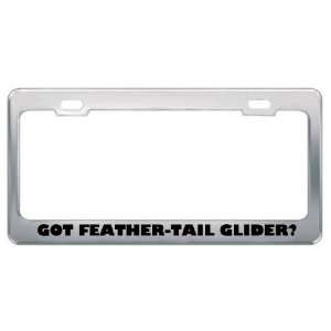 Got Feather Tail Glider? Animals Pets Metal License Plate Frame Holder 