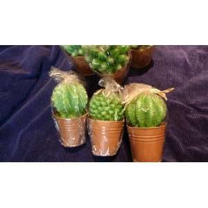  Cactus Candle in Pot (set of 8) 