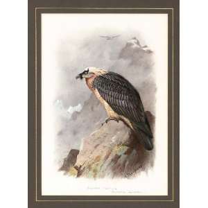  Hand Made Oil Reproduction   Archibald Thorburn   24 x 34 