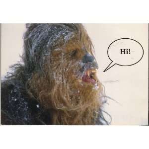  Star Wars Chewbacca on the Planet Hoth Humor Relationship 