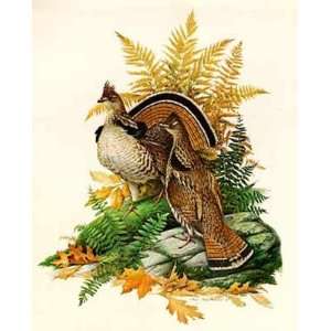 Roger Tory Peterson   Ruffed Grouse Open Edition