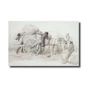  Negroes Loading Cotton Bales At Charleston Giclee Print 