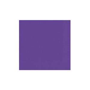  Solid Royal Purple Football Party Beverage Napkin Kitchen 