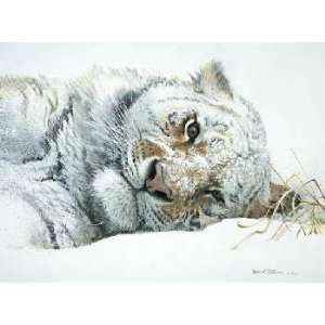  Robert Bateman   Snowy Nap Tiger