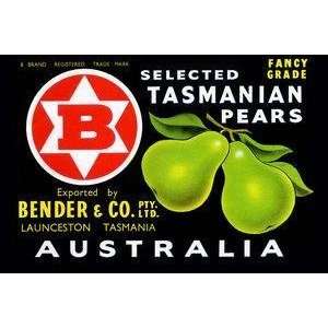  Vintage Art Bender & Co. Selected Tasmanian Pears   22606 