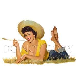   Hillbilly nothing is Hectic Pinup decal s228 Musical Instruments