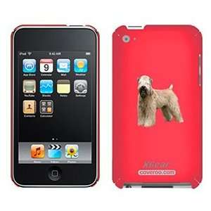 Soft Coated Wheaton on iPod Touch 4G XGear Shell Case 